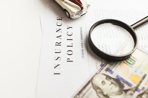 Insurance & License Verification Company