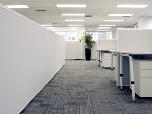 Commercial Cleaning Carpet in Singapore