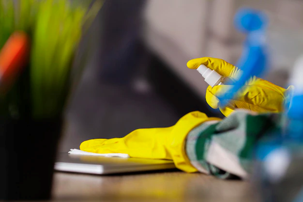 Professional Cleaning Services