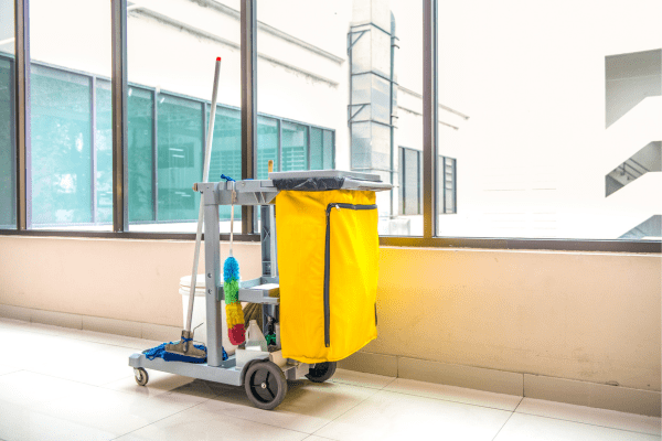 Benefits of Professional Cleaning